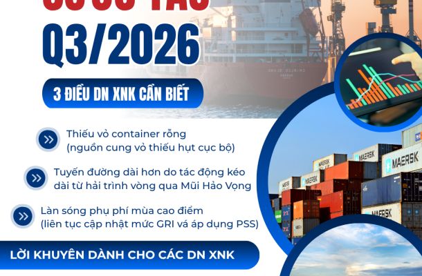 Cẩm Nang Tối Ưu Chi Phí Freight Forwarding & Logistics Mùa Cao Điểm Q3/2026